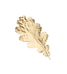Photo of One golden oak leaf isolated on white. Autumn season