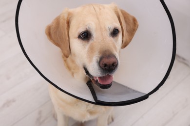 Photo of Cute Labrador Retriever with protective cone collar indoors