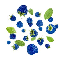 Image of Many fresh blue raspberries and green leaves falling on white background