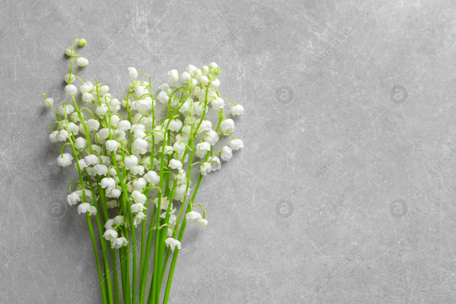 Photo of Fresh spring flowers on gray background, top view