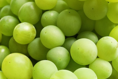 Bunch of green fresh ripe juicy grapes as background, closeup