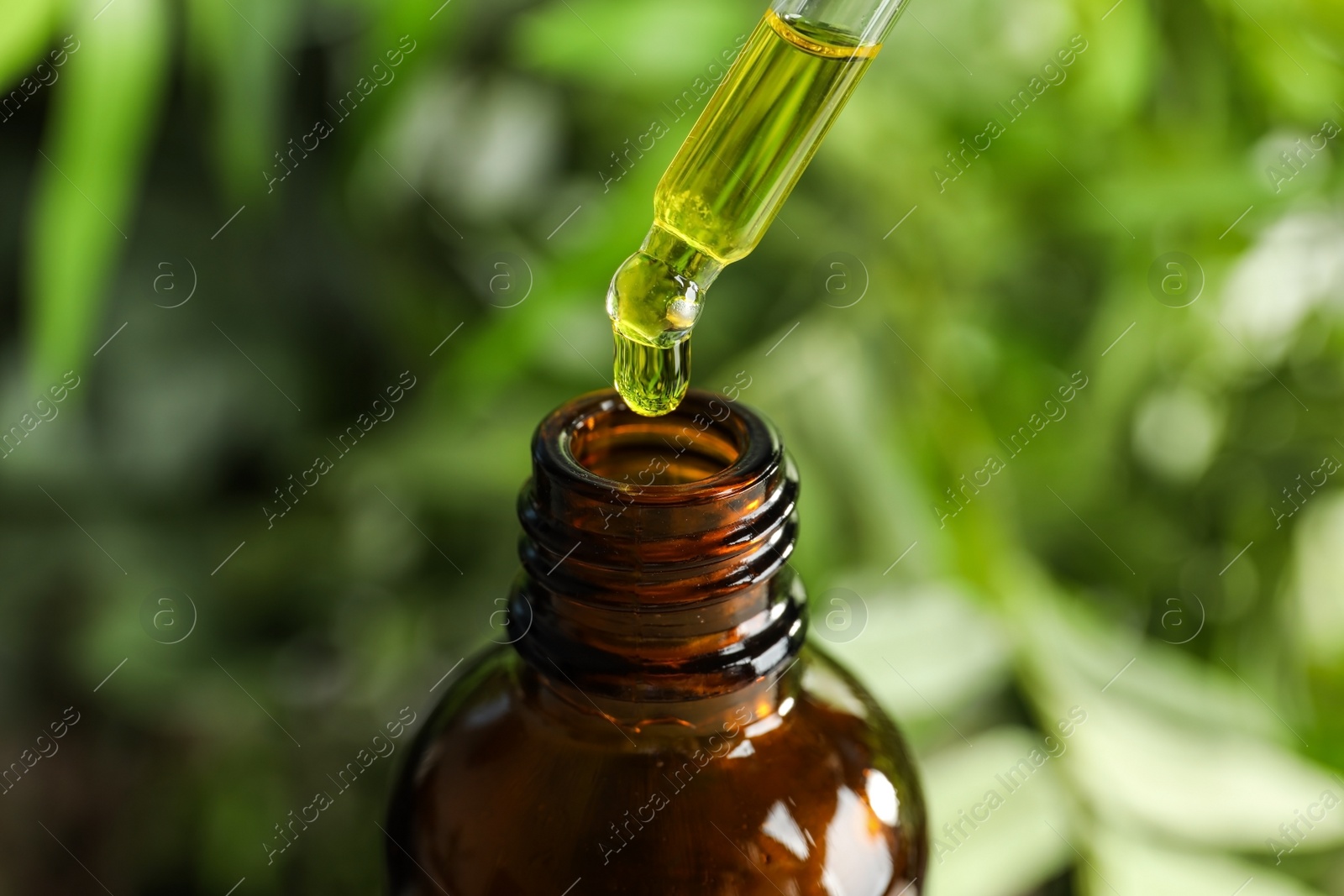 Photo of Pipette with oil over bottle on blurred background