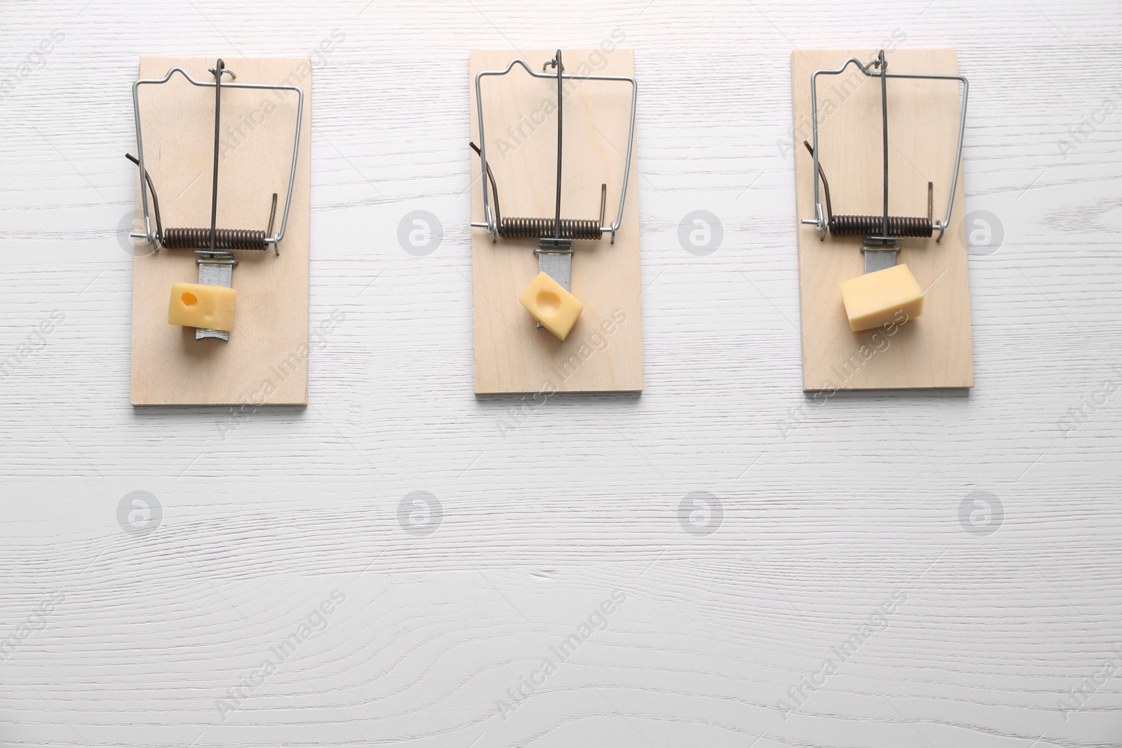 Photo of Mousetraps with pieces of cheese and space for text on white wooden background, flat lay. Pest control