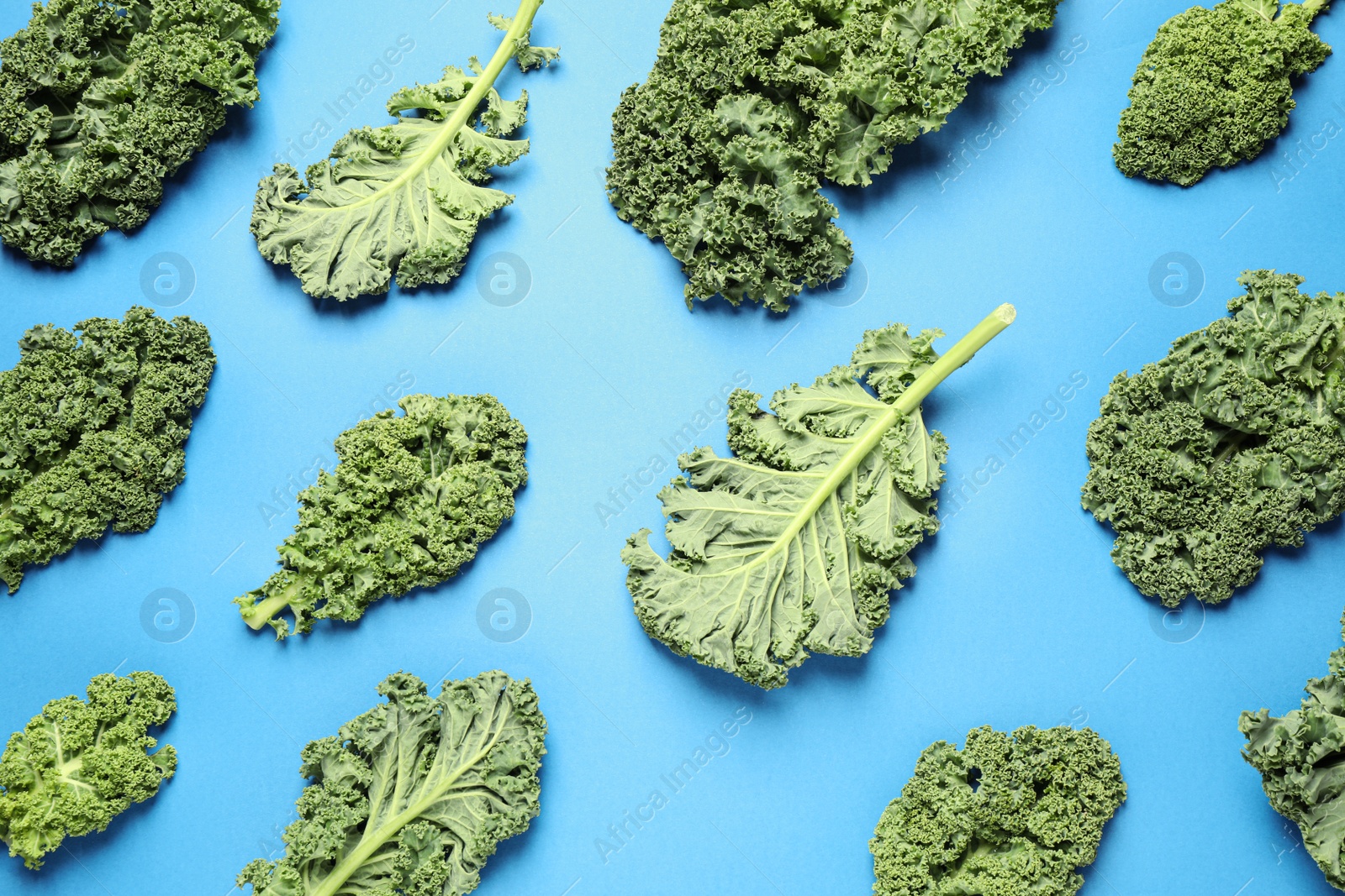 Photo of Fresh kale leaves on blue background, flat lay