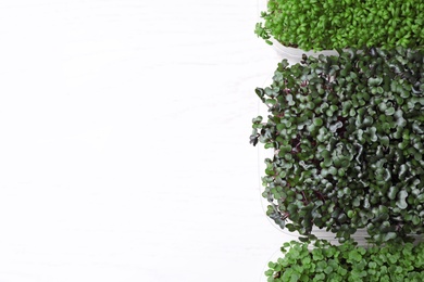 Fresh organic microgreens on white background, top view. Space for text