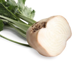 Half of sugar beet on white background, closeup