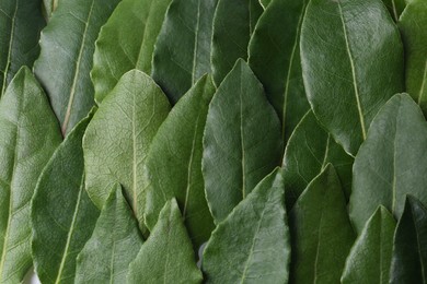 Photo of Many fresh bay leaves as background, flat lay