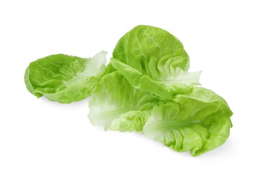 Photo of Fresh green butter lettuce leaves isolated on white