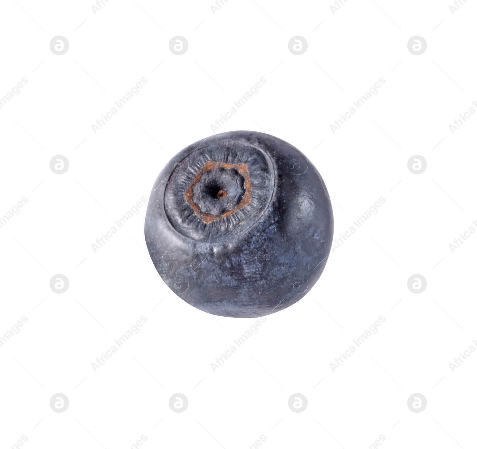 Photo of One tasty ripe bilberry isolated on white