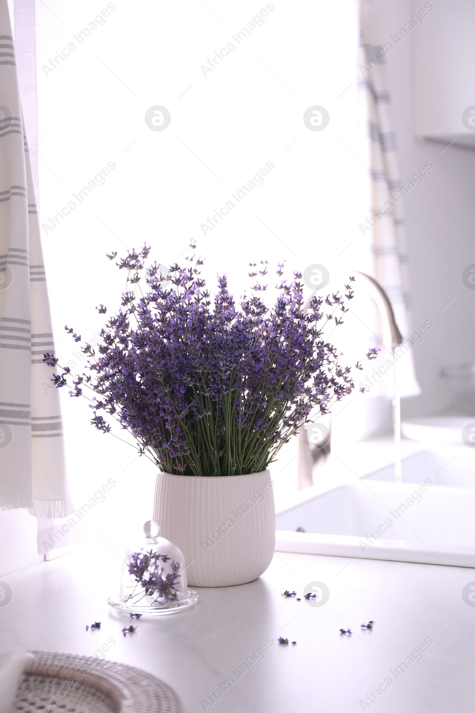 Photo of Beautiful lavender flowers on countertop near sink in kitchen