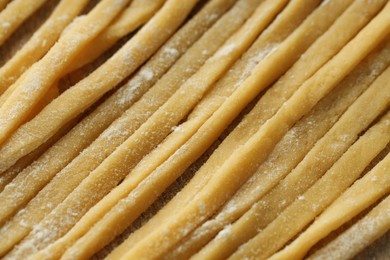 Raw homemade pasta and flour, closeup view