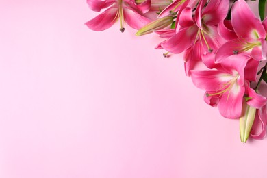 Photo of Beautiful pink lily flowers on color background, top view. Space for text