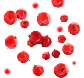 Image of Fresh red currants falling on white background