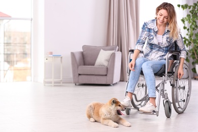 Young woman in wheelchair with puppy at home