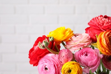 Photo of Beautiful fresh ranunculus flowers near white brick wall, closeup. Space for text