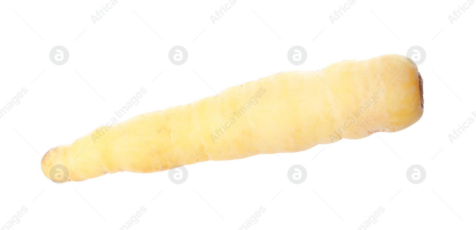 Photo of Whole fresh raw carrot isolated on white