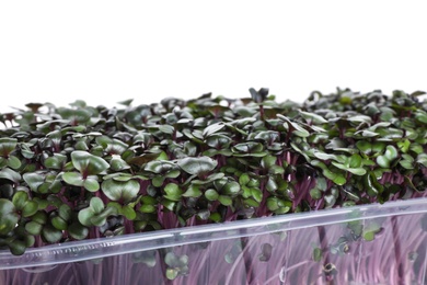 Fresh organic microgreen on white background, closeup