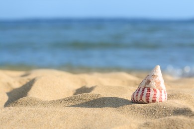Beautiful seashell on sandy beach near sea, space for text
