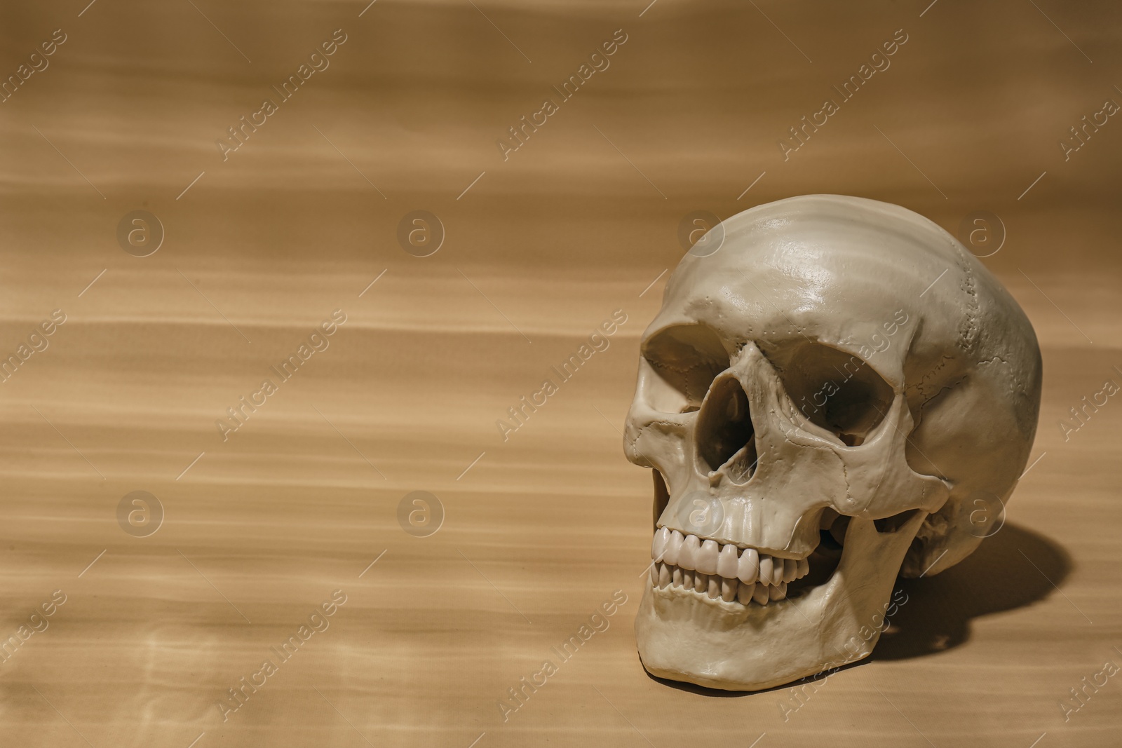 Photo of Human skull on beige background, space for text