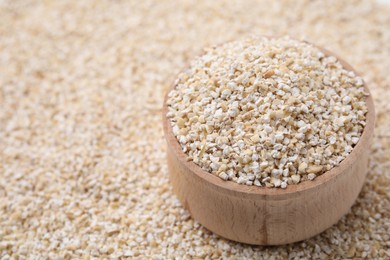 Wooden bowl on raw barley groats, closeup. Space for text