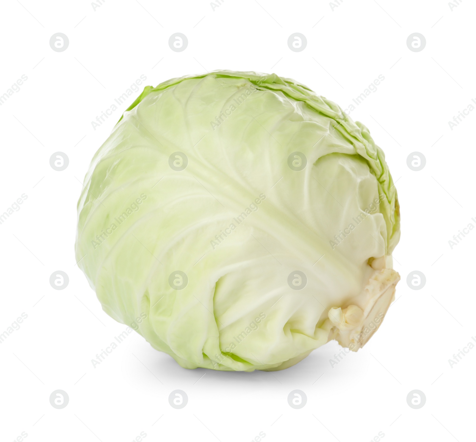 Photo of Whole fresh ripe cabbage isolated on white