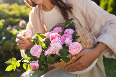 Photo of Woman holding wicker basket with beautiful tea roses in garden, closeup
