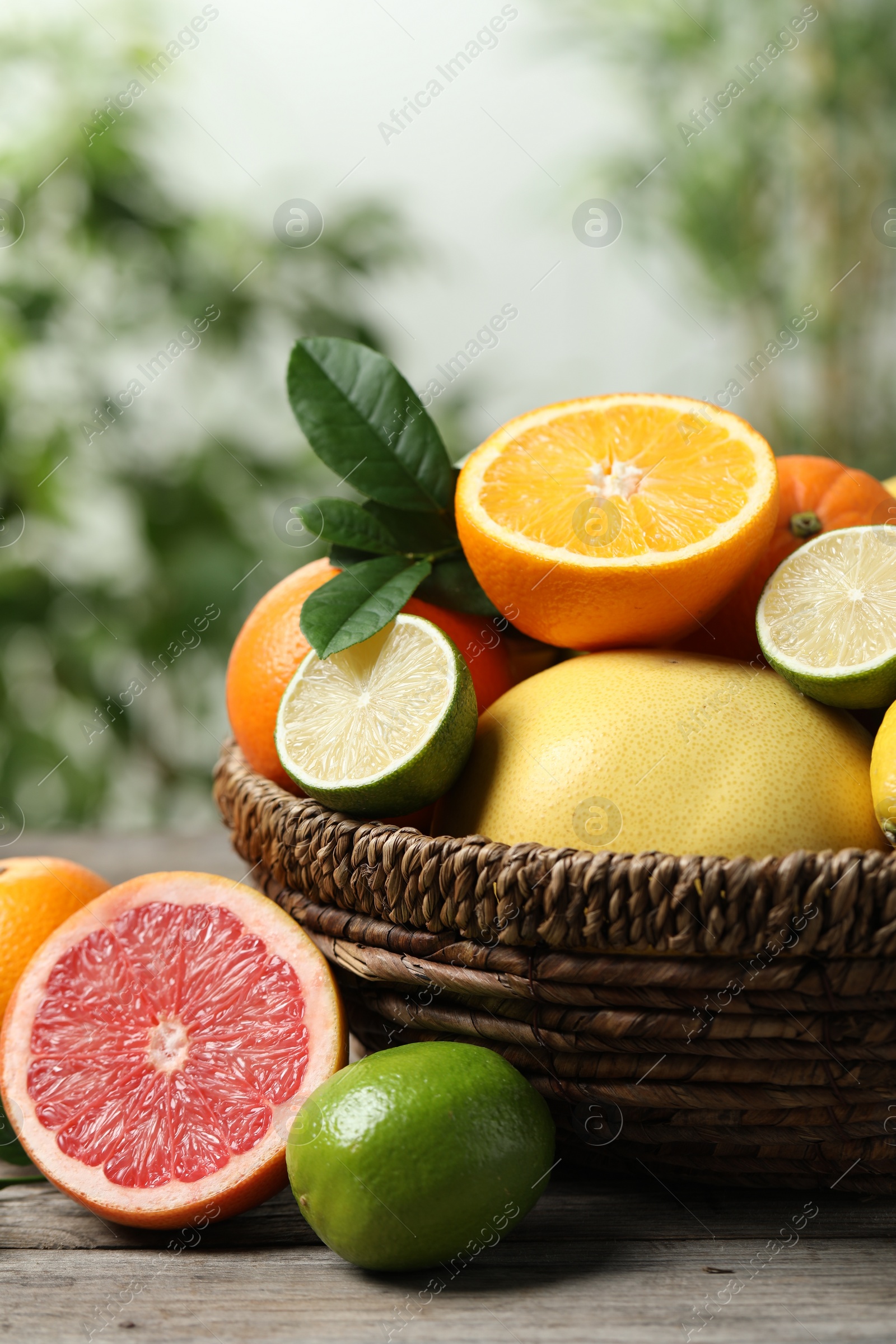 Photo of Different fresh citrus fruits and leaves in wicker basket on wooden table against blurred background, closeup