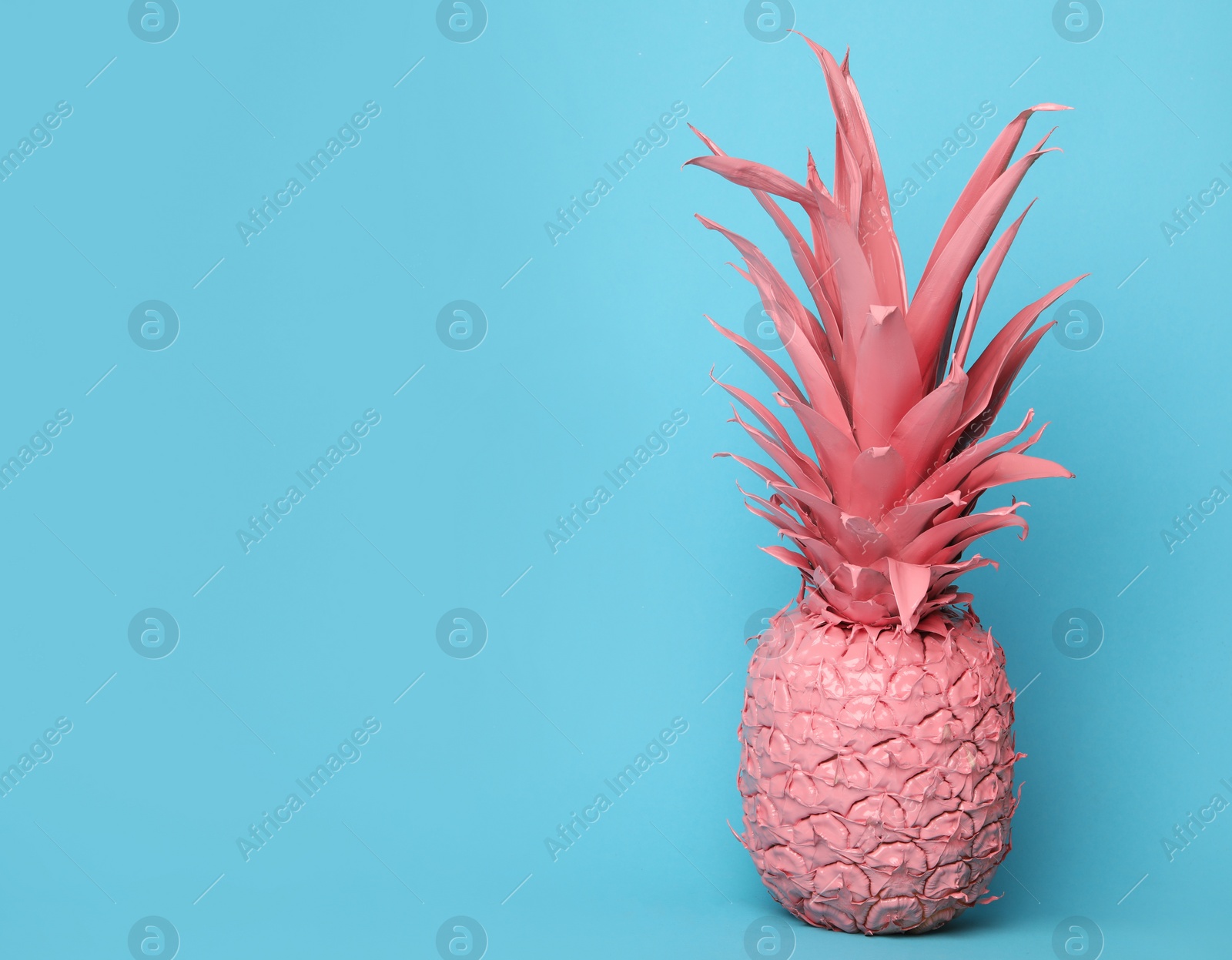 Photo of Coral painted pineapple on light blue background. Space for text