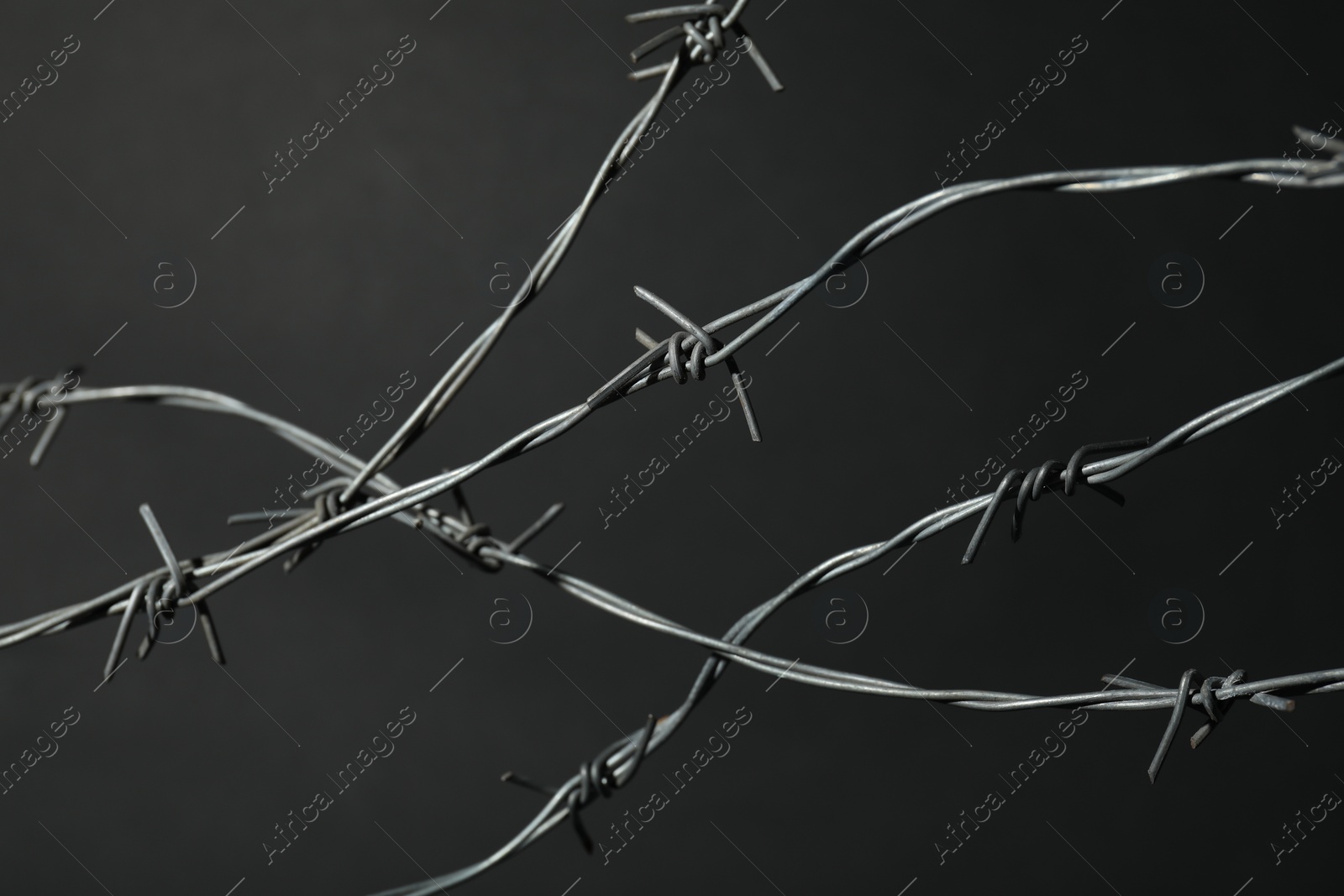 Photo of Metal barbed wire on dark grey background