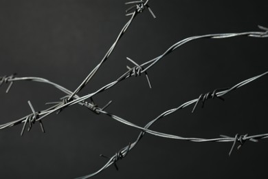 Metal barbed wire on dark grey background