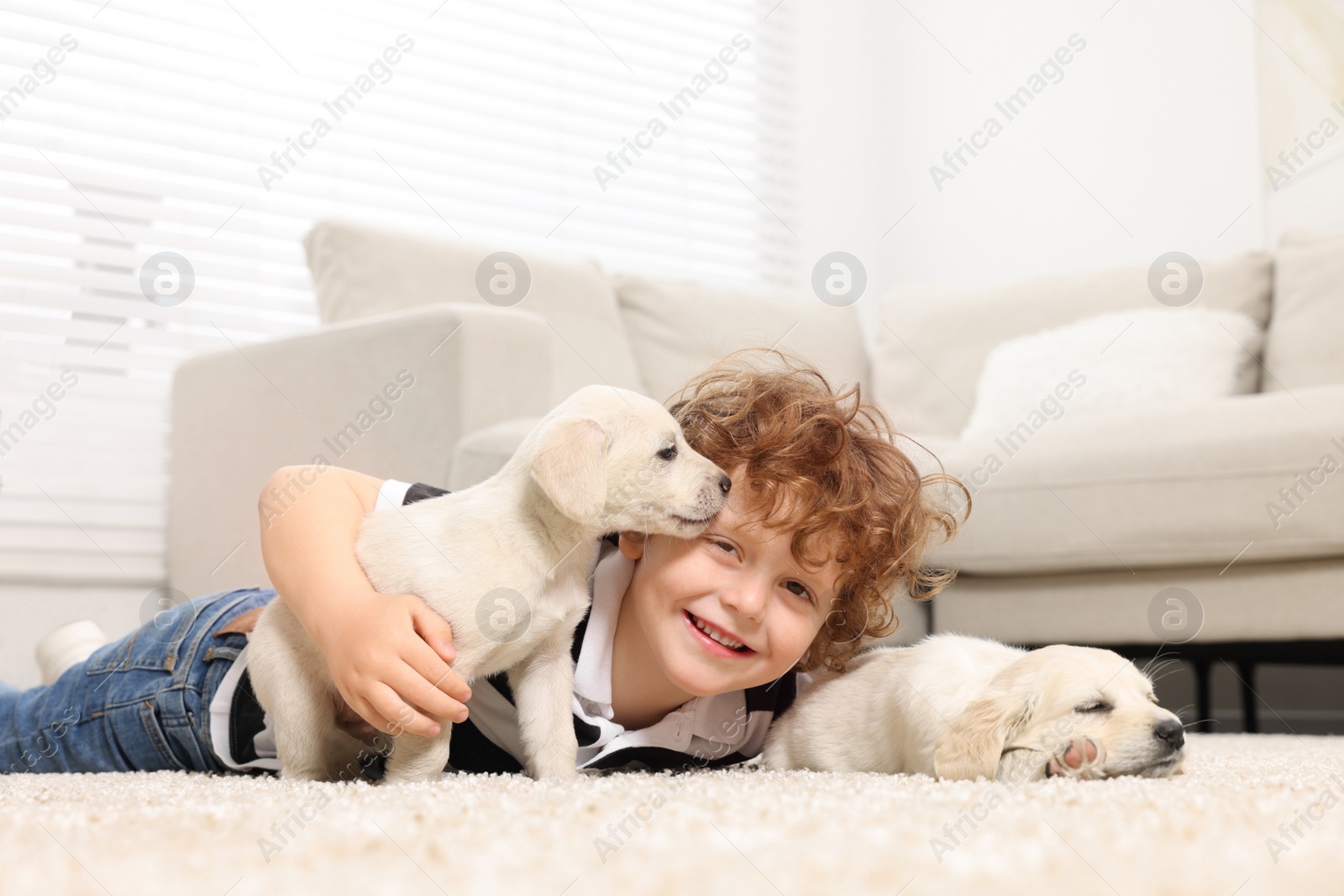 Photo of Little boy with cute puppies on beige carpet at home