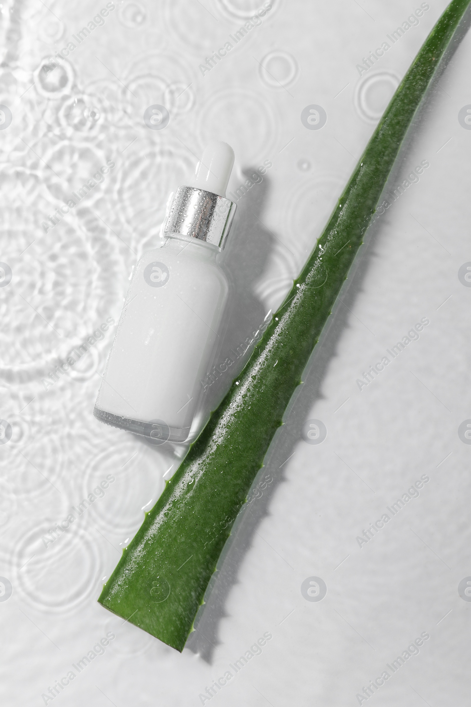 Photo of Bottle of cosmetic product and aloe leaf in water on white background, flat lay