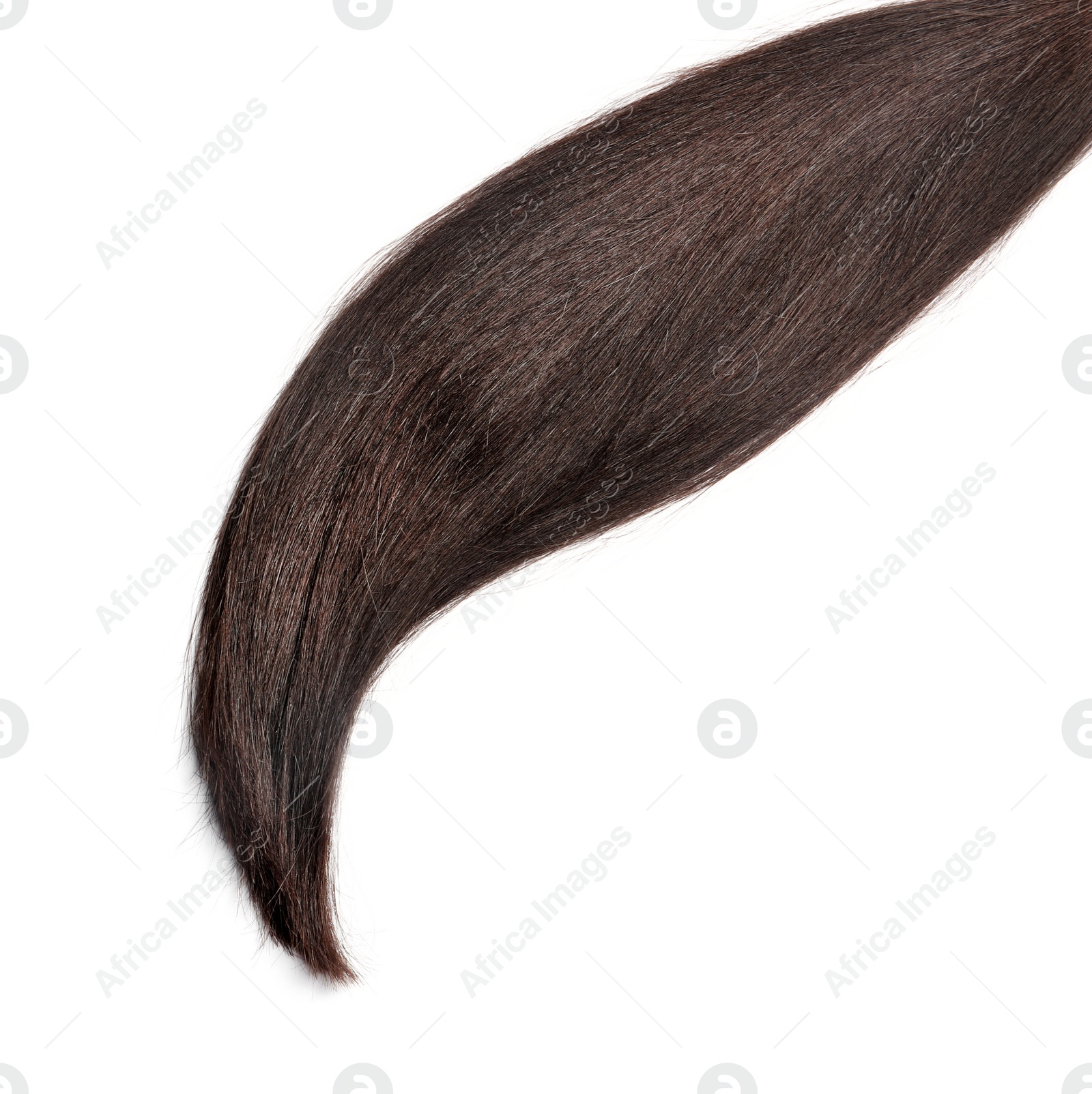 Photo of Lock of healthy brown hair on white background