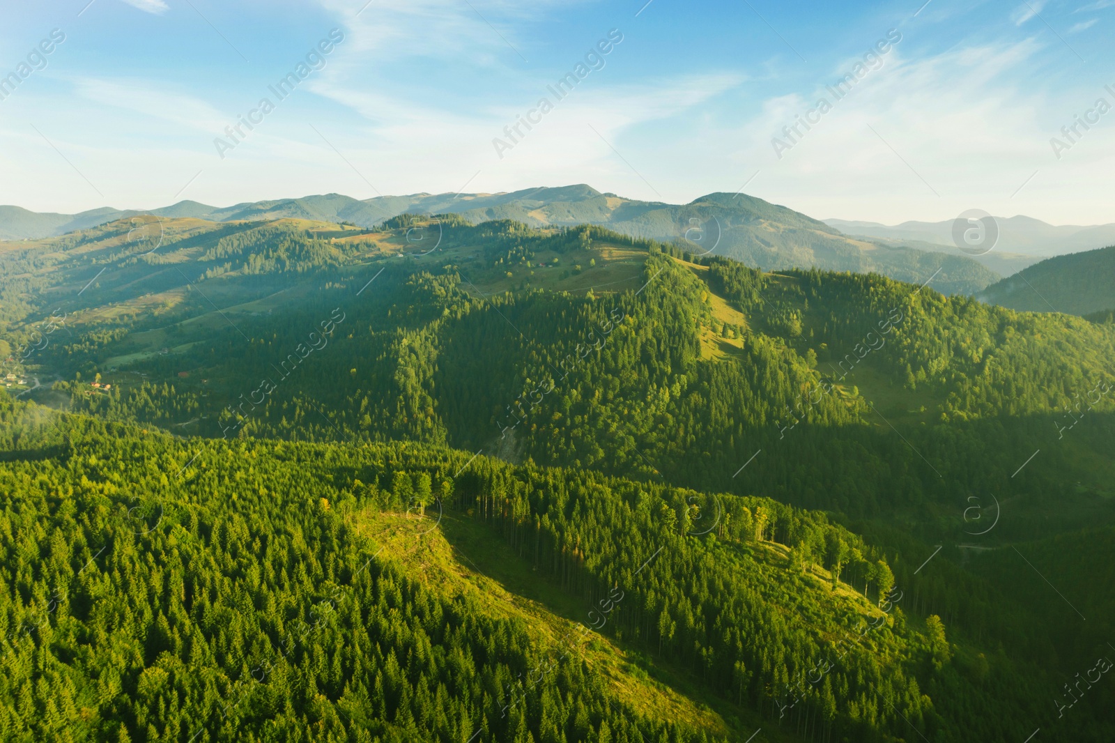 Image of Beautiful mountain landscape with green forest on sunny day. Drone photography