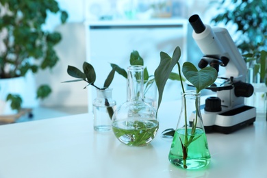 Laboratory glassware with plants and microscope on table, space for text. Biological chemistry