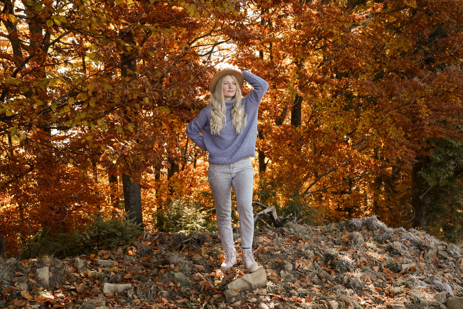 Photo of Full length portrait of beautiful young woman with hat in autumn forest