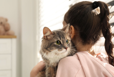 Photo of Little girl holding cute cat near window at home. First pet