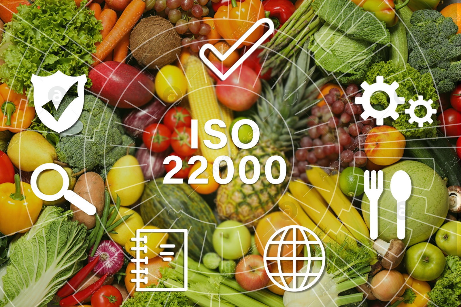 Image of ISO 22000 - Food safety management. Assortment of organic fresh fruits and vegetables as background, top view