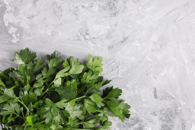 Photo of Bunch of fresh green parsley leaves on grey textured table, top view. Space for text