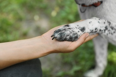 Photo of Woman holding dog's paw outdoors, closeup. Concept of volunteering