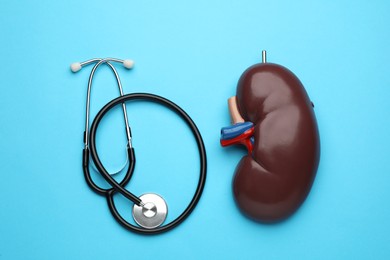 Photo of Kidney model and stethoscope on light blue background, flat lay