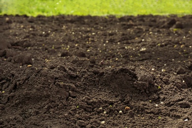 Textured ground surface as background, closeup. Fertile soil for farming and gardening