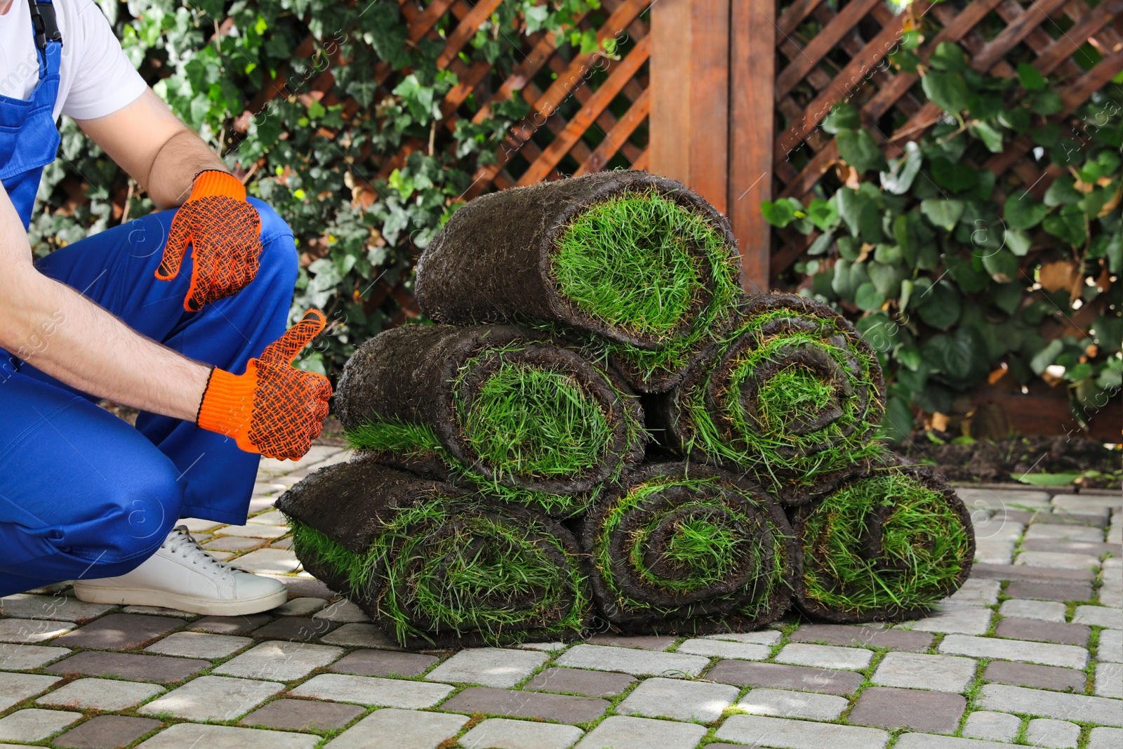 Photo of Gardener with grass sod rolls on backyard, closeup