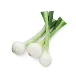 Photo of Whole green spring onions isolated on white, top view