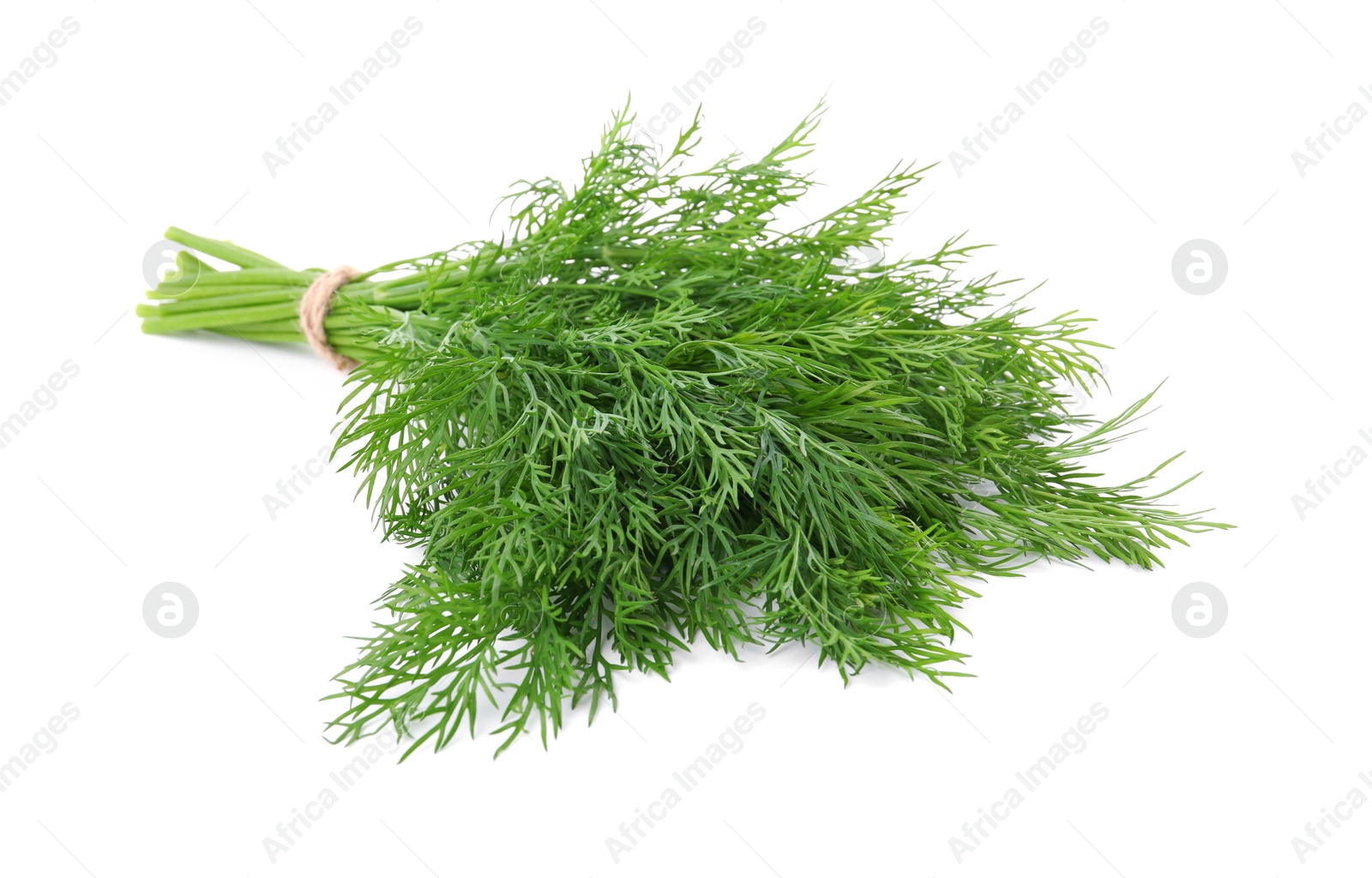 Photo of Bunch of fresh green dill isolated on white