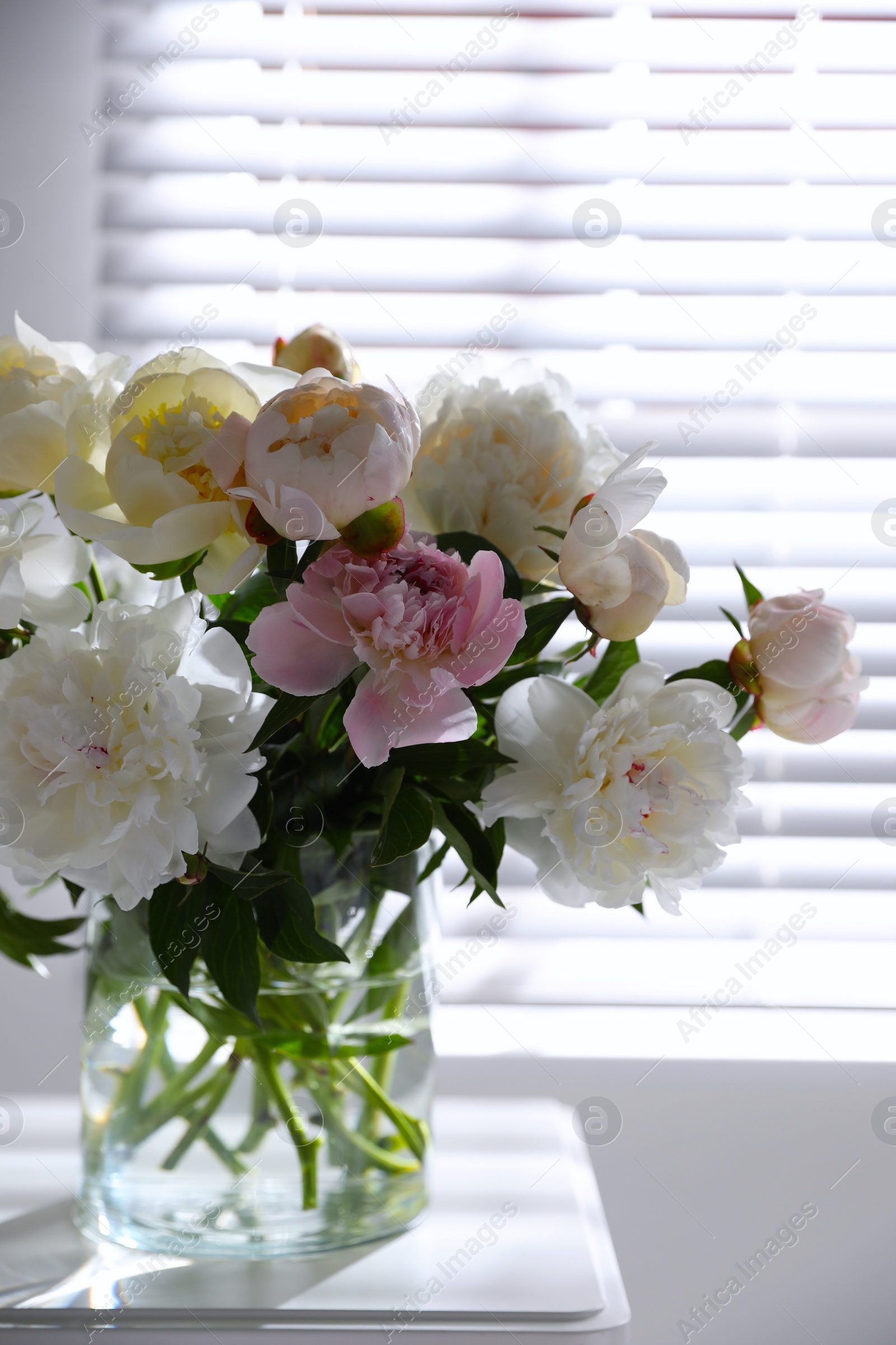 Photo of Beautiful peonies in vase on table near window indoors