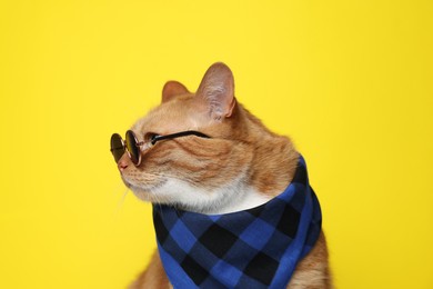 Photo of Cute ginger cat with bandana and sunglasses on yellow background. Adorable pet