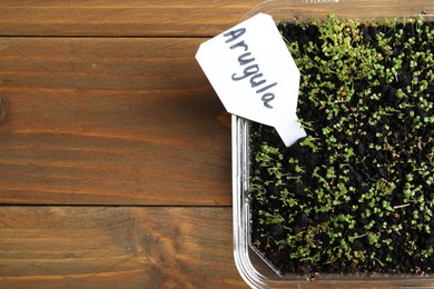 Young sprouts and card with word Arugula on wooden table, top view. Space for text