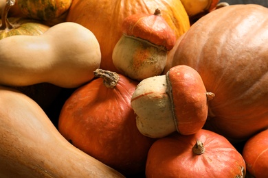 Photo of Many different pumpkins as background, closeup. Autumn holidays