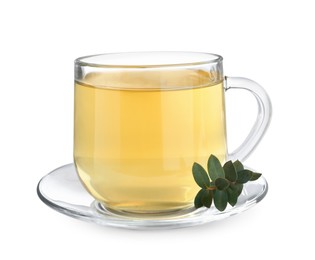 Cup of green tea with eucalyptus leaves on white background